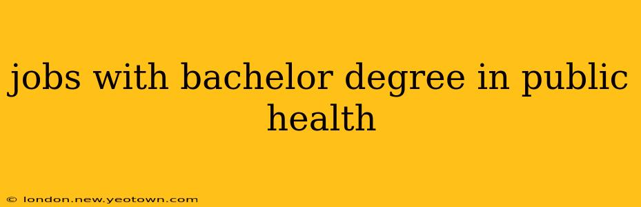 jobs with bachelor degree in public health