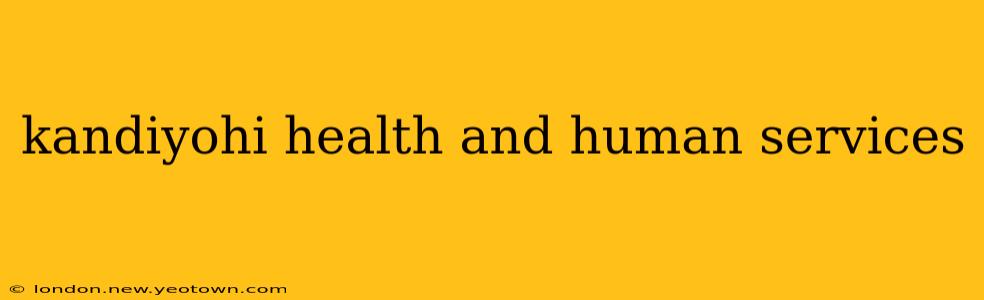 kandiyohi health and human services