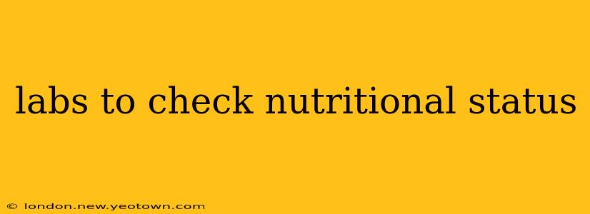 labs to check nutritional status
