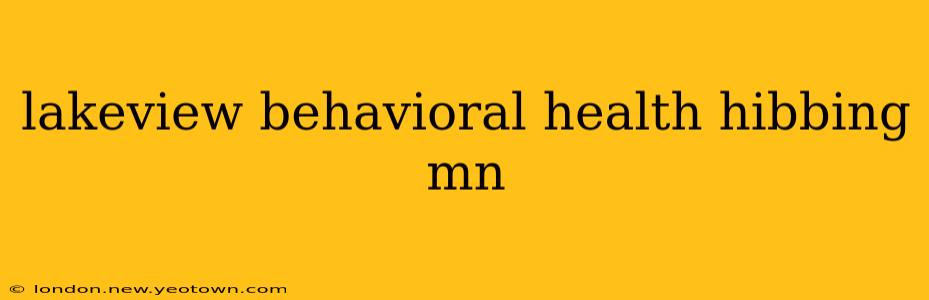lakeview behavioral health hibbing mn