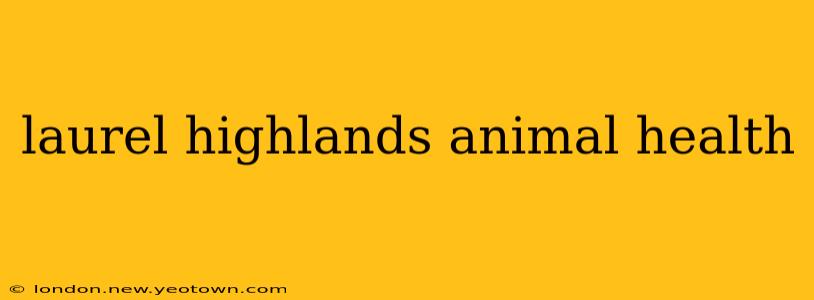 laurel highlands animal health
