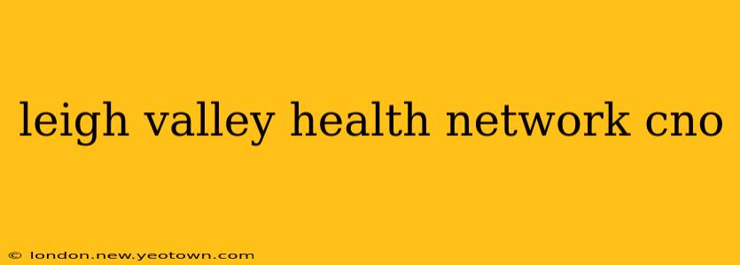 leigh valley health network cno