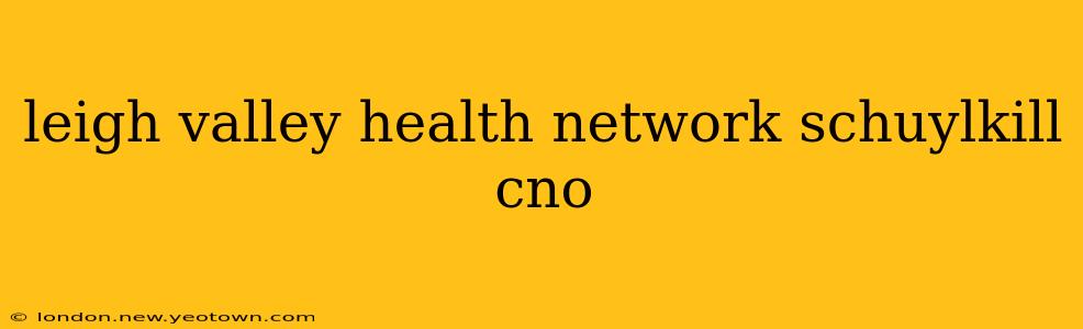 leigh valley health network schuylkill cno