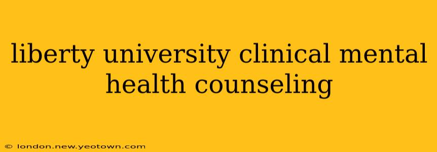 liberty university clinical mental health counseling