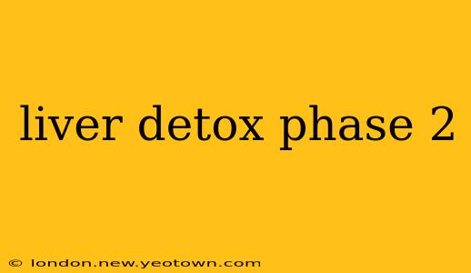 liver detox phase 2