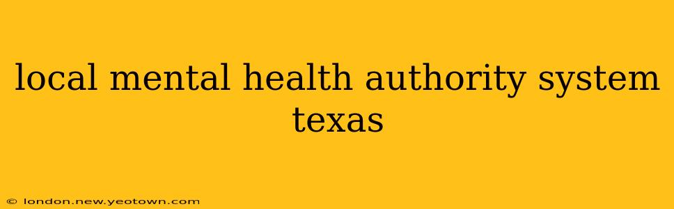 local mental health authority system texas