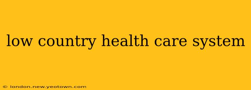 low country health care system