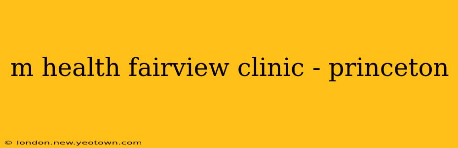 m health fairview clinic - princeton