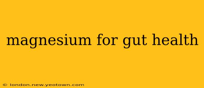magnesium for gut health