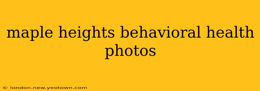 maple heights behavioral health photos
