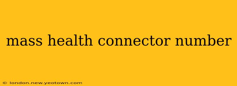 mass health connector number