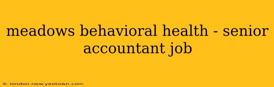 meadows behavioral health - senior accountant job