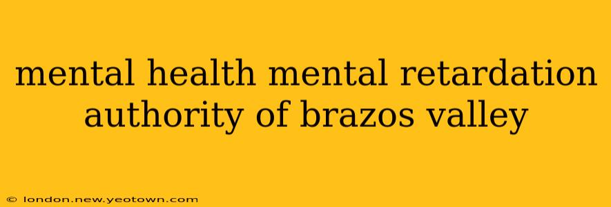 mental health mental retardation authority of brazos valley