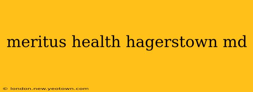 meritus health hagerstown md
