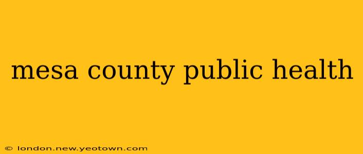 mesa county public health