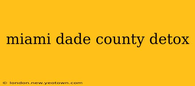 miami dade county detox