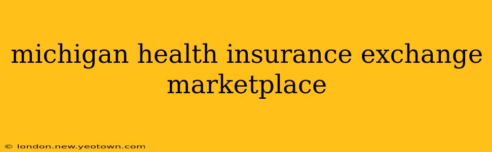 michigan health insurance exchange marketplace