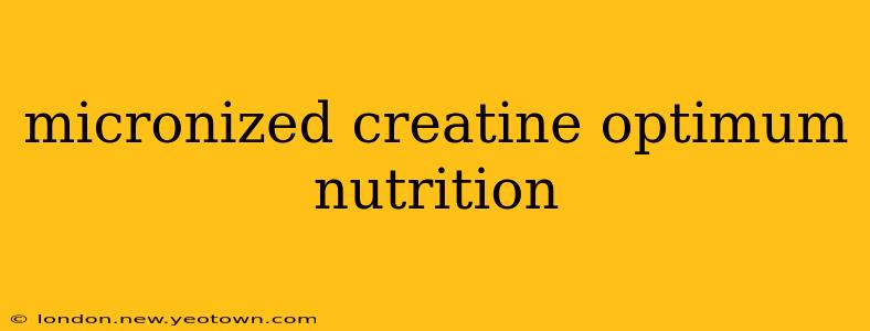 micronized creatine optimum nutrition
