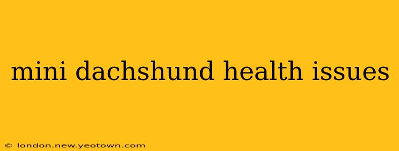 mini dachshund health issues