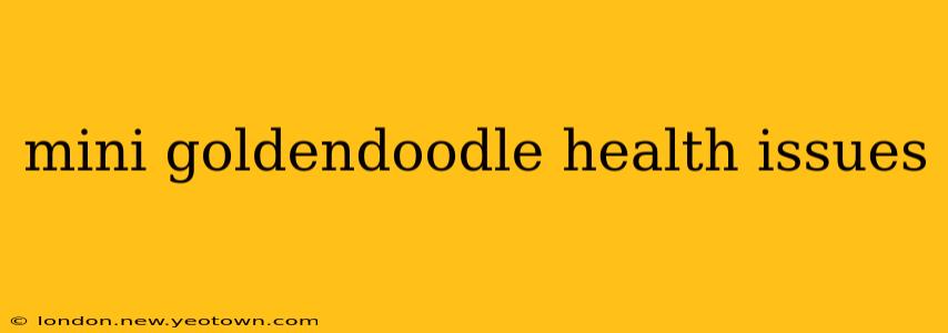 mini goldendoodle health issues