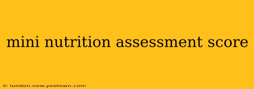 mini nutrition assessment score
