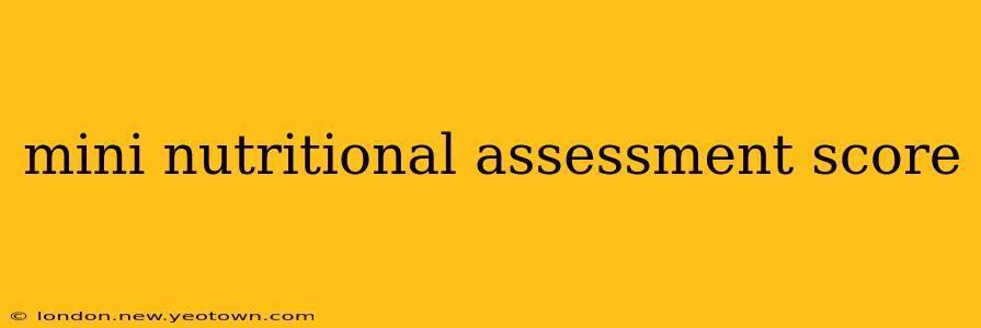 mini nutritional assessment score