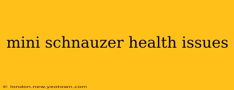 mini schnauzer health issues