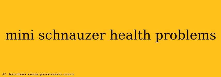 mini schnauzer health problems