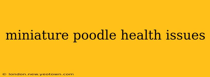 miniature poodle health issues