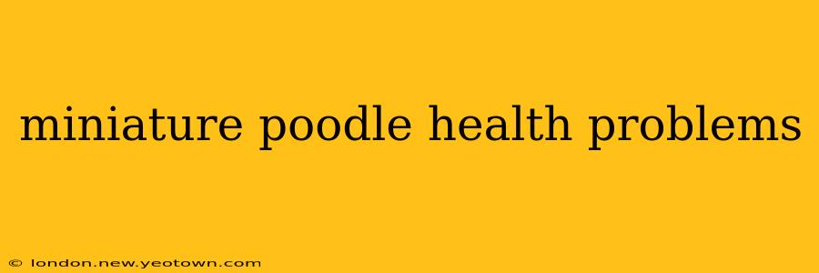 miniature poodle health problems