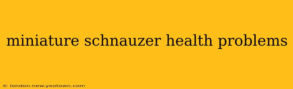 miniature schnauzer health problems
