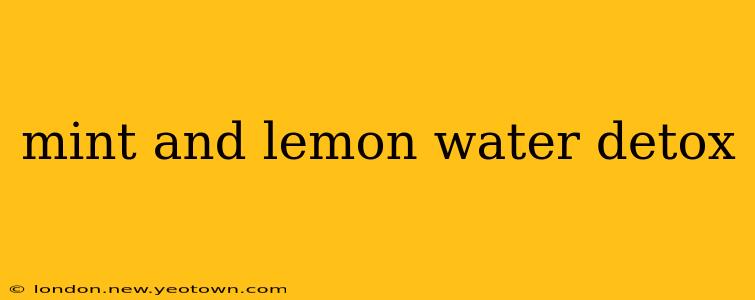 mint and lemon water detox