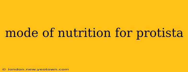 mode of nutrition for protista
