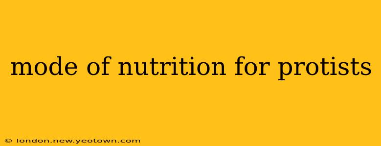 mode of nutrition for protists