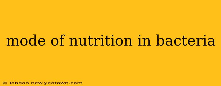 mode of nutrition in bacteria