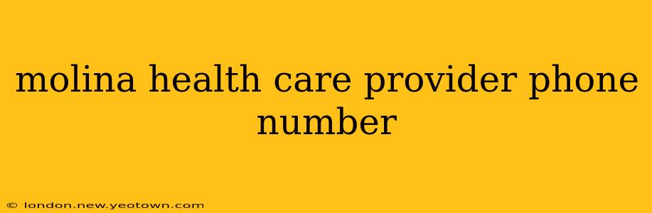 molina health care provider phone number