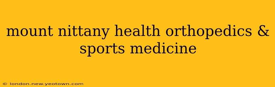 mount nittany health orthopedics & sports medicine