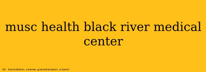 musc health black river medical center
