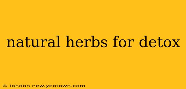 natural herbs for detox