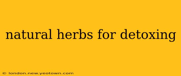 natural herbs for detoxing