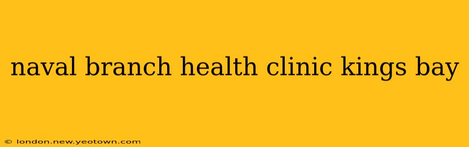 naval branch health clinic kings bay