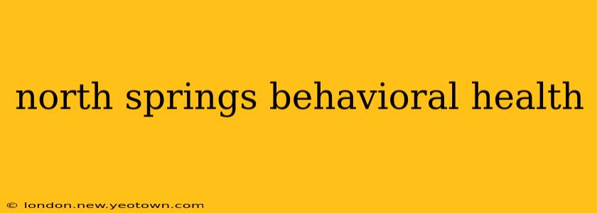north springs behavioral health