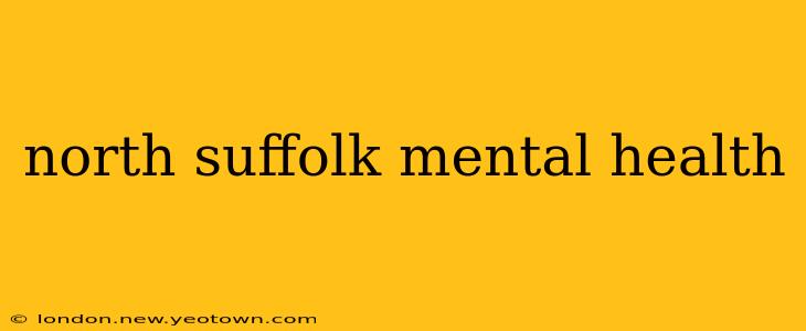 north suffolk mental health
