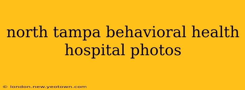 north tampa behavioral health hospital photos