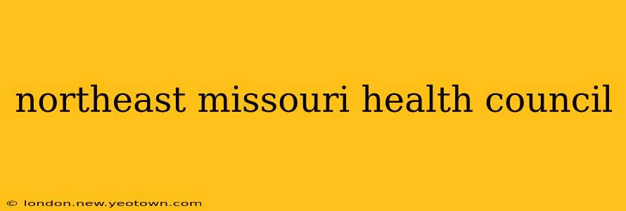 northeast missouri health council