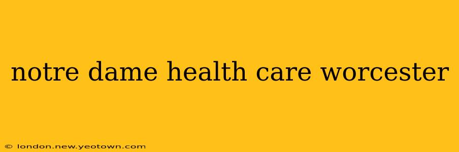 notre dame health care worcester