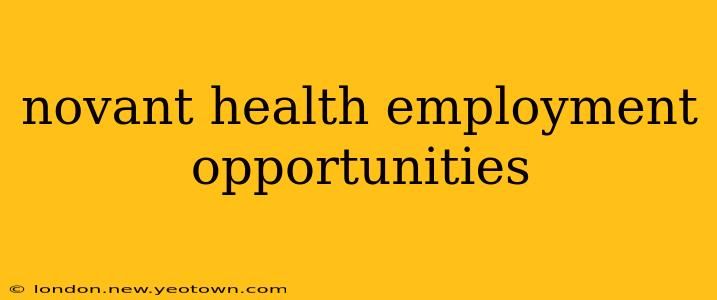 novant health employment opportunities