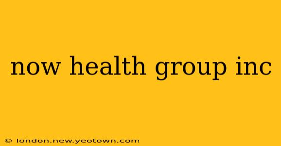 now health group inc