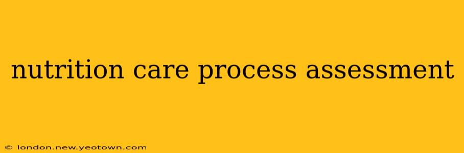 nutrition care process assessment
