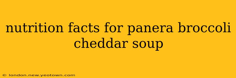 nutrition facts for panera broccoli cheddar soup